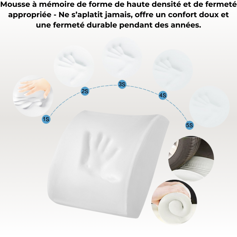 Coussin Orthopédique Dossier Cellsius - Soulage les douleurs lombaires et dorsales